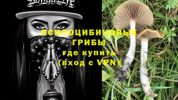 кокаин Алексеевка
