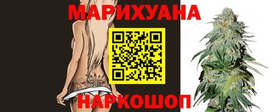 мяу мяу мука Кандалакша
