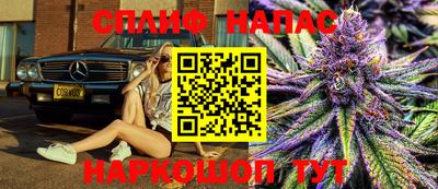 мяу мяу мука Кандалакша