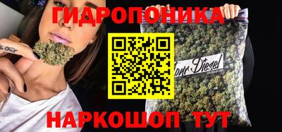 ALPHA-PVP Камышлов