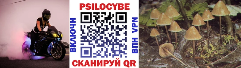 мориарти официальный сайт Ревда Галлюциногенные грибы мицелий