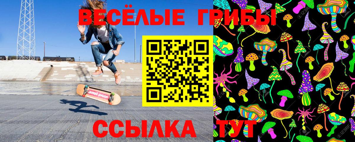 Псилоцибиновые грибы MAGIC MUSHROOMS Ревда