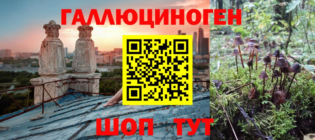 Псилоцибиновые грибы GOLDEN TEACHER  Вход с VPN  Ревда 